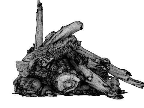 Fire Charred Remnants 3D Model