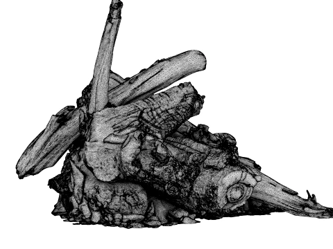 Fire Charred Remnants 3D Model