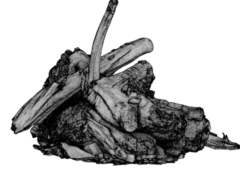 Fire Charred Remnants 3D Model