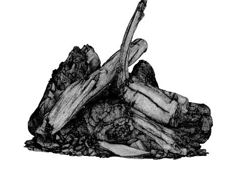 Fire Charred Remnants 3D Model