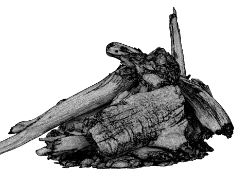 Fire Charred Remnants 3D Model