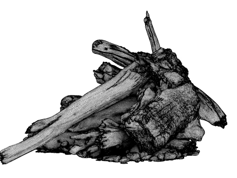 Fire Charred Remnants 3D Model