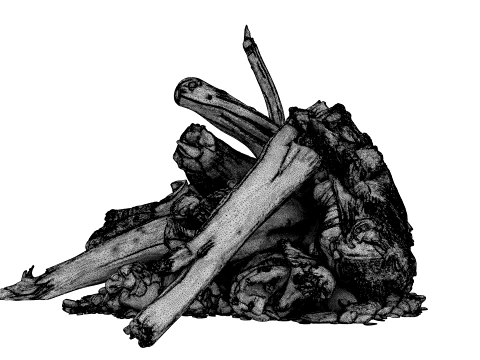 Fire Charred Remnants 3D Model