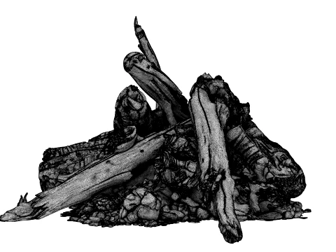 Fire Charred Remnants 3D Model
