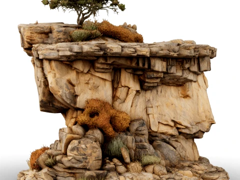 Lonely Tree on a Desert Cliff 3D 모델