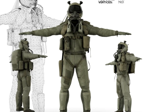 Fighter Pilot 3D 모델