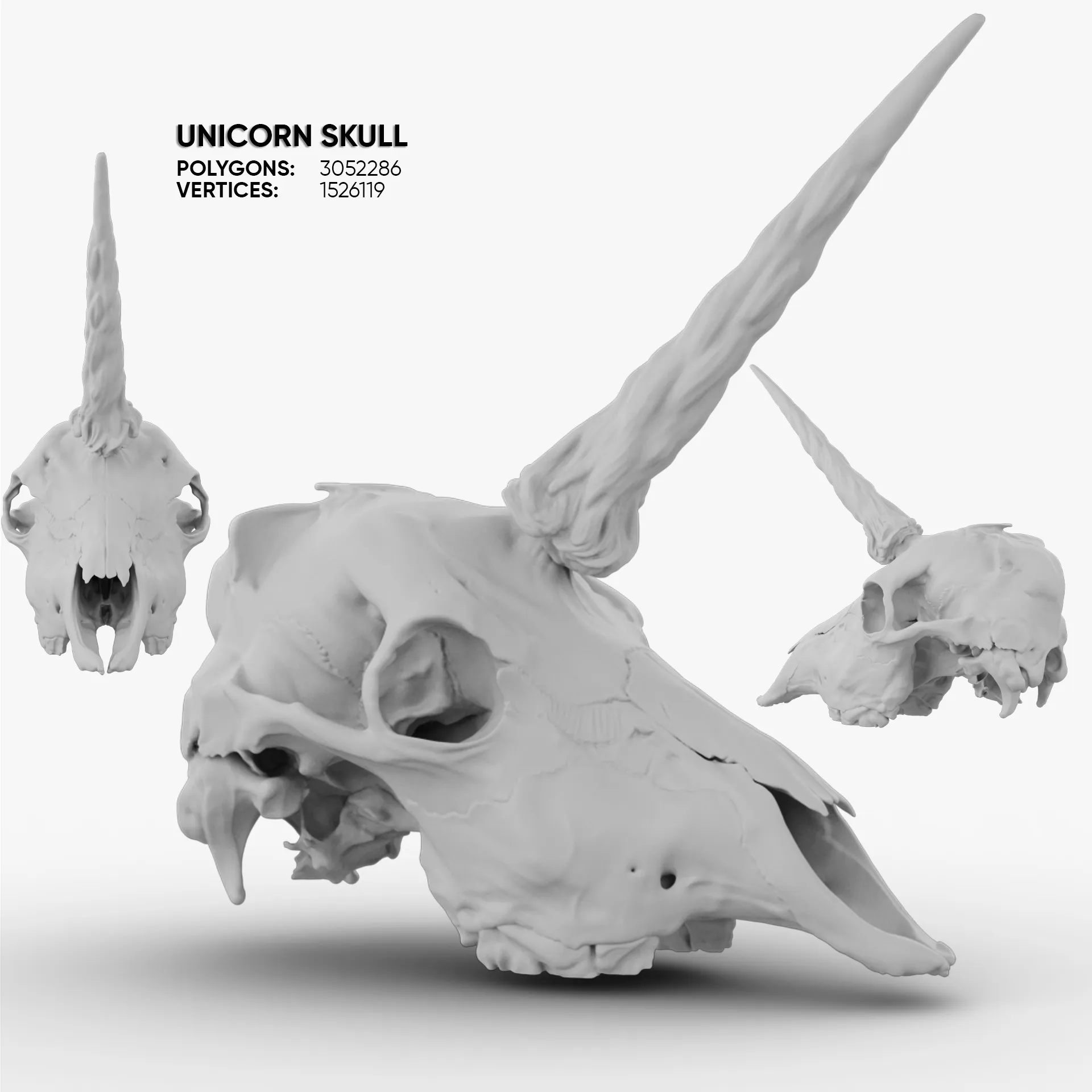 Unicorn Skull 3D Model .c4d .max .obj .3ds .fbx .stl .blend 