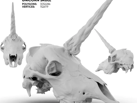 Unicorn Skull 3D Model