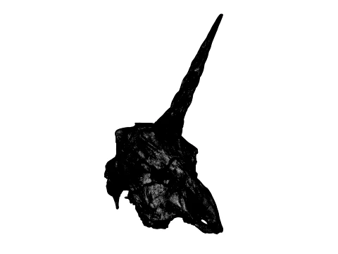 Unicorn Skull 3D Model