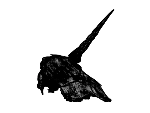 Unicorn Skull 3D Model