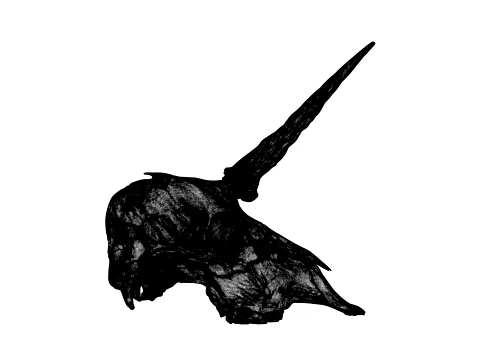 Unicorn Skull 3D Model