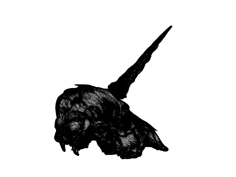 Unicorn Skull 3D Model