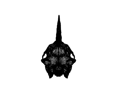 Unicorn Skull 3D Model