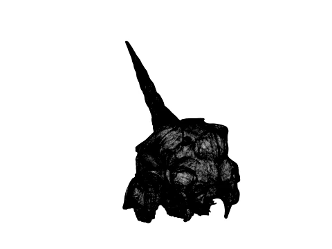 Unicorn Skull 3D Model