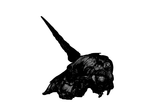 Unicorn Skull 3D Model