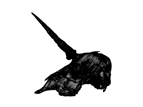 Unicorn Skull 3D Model