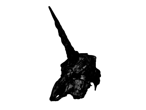 Unicorn Skull 3D Model
