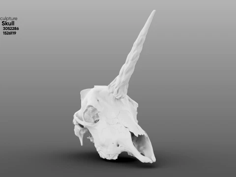 Unicorn Skull 3D Model