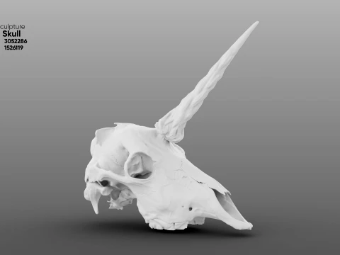 Unicorn Skull 3D Model