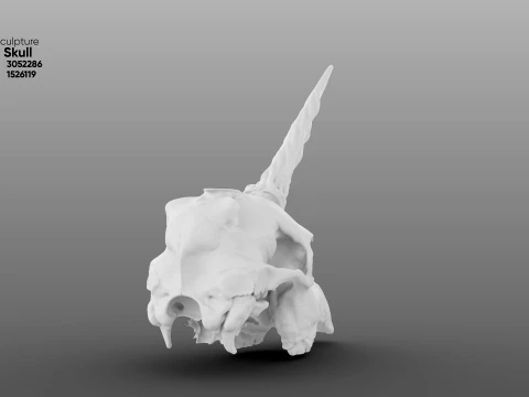 Unicorn Skull 3D Model