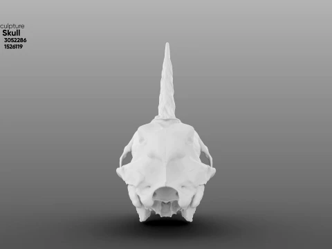 Unicorn Skull 3D Model
