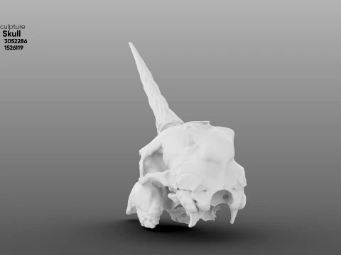 Unicorn Skull 3D Model
