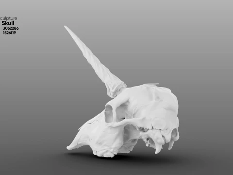 Unicorn Skull 3D Model