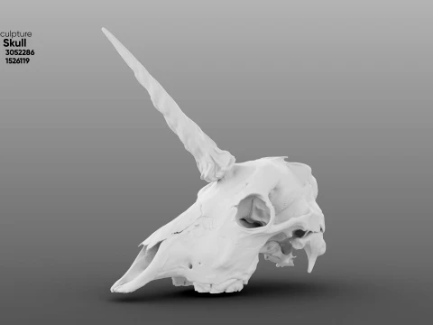 Unicorn Skull 3D Model