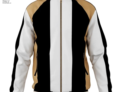 Clothing - Black Gold Jacket Modello 3D