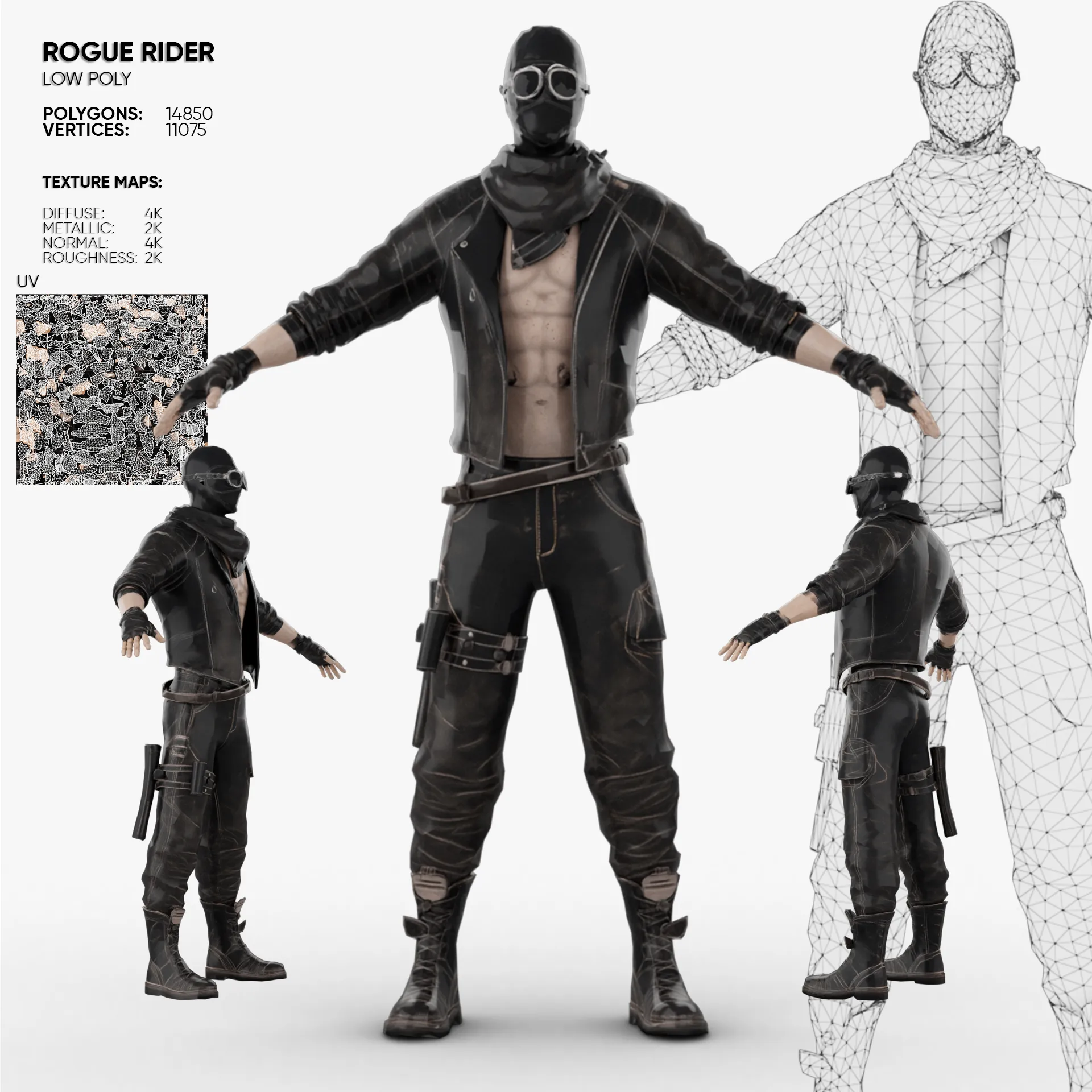 Rogue Rider 3D Model .c4d .max .obj .3ds .fbx .stl .blend 