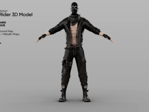 Rogue Rider 3D Model