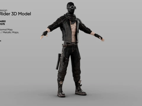 Rogue Rider 3D Model
