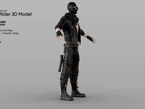Rogue Rider 3D Model