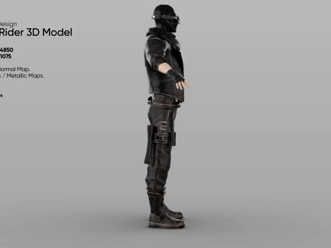 Rogue Rider 3D Model