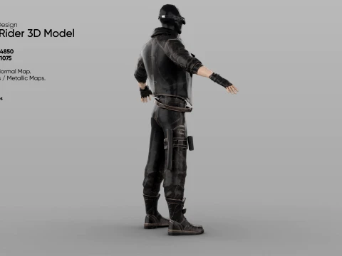 Rogue Rider 3D Model