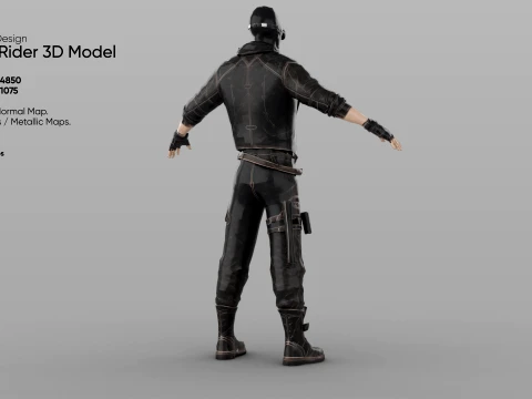 Rogue Rider 3D Model