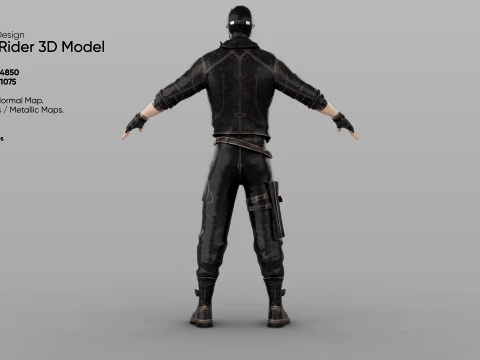 Rogue Rider 3D Model