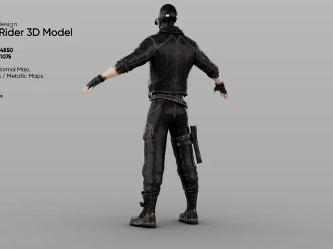 Rogue Rider 3D Model