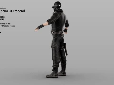 Rogue Rider 3D Model