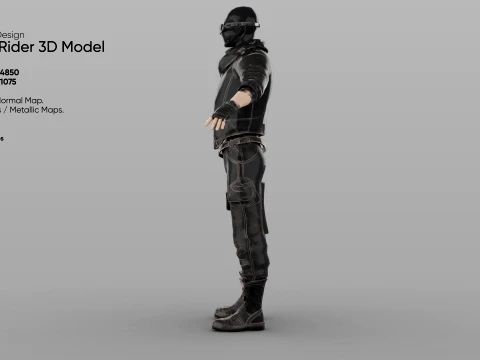 Rogue Rider 3D Model