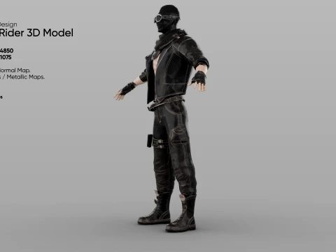 Rogue Rider 3D Model