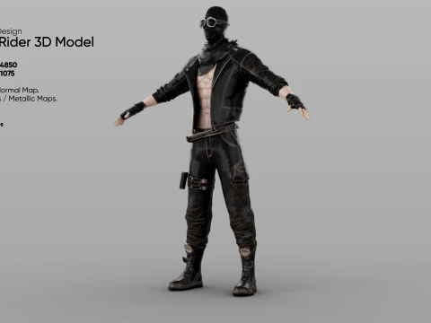 Rogue Rider 3D Model