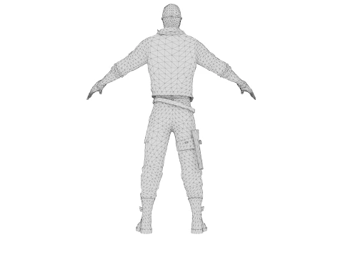 Rogue Rider 3D Model