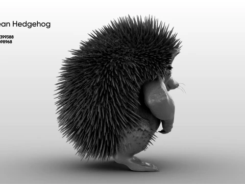 Toy - Herculean Hedgehog 3D Model