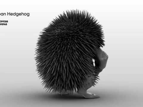 Toy - Herculean Hedgehog 3D Model