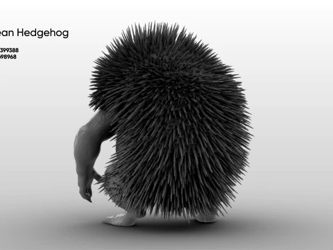 Toy - Herculean Hedgehog 3D Model