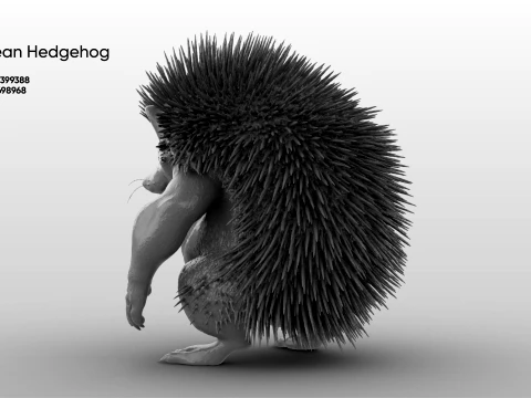 Toy - Herculean Hedgehog 3D Model