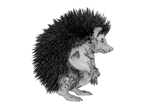 Toy - Herculean Hedgehog 3D Model