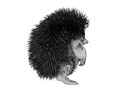 Toy - Herculean Hedgehog 3D Model