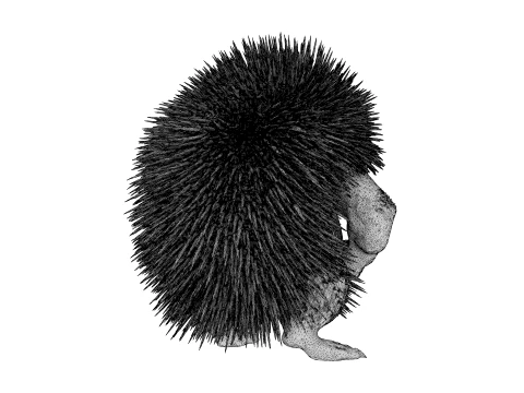 Toy - Herculean Hedgehog 3D Model
